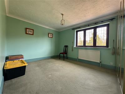 Picture 23
